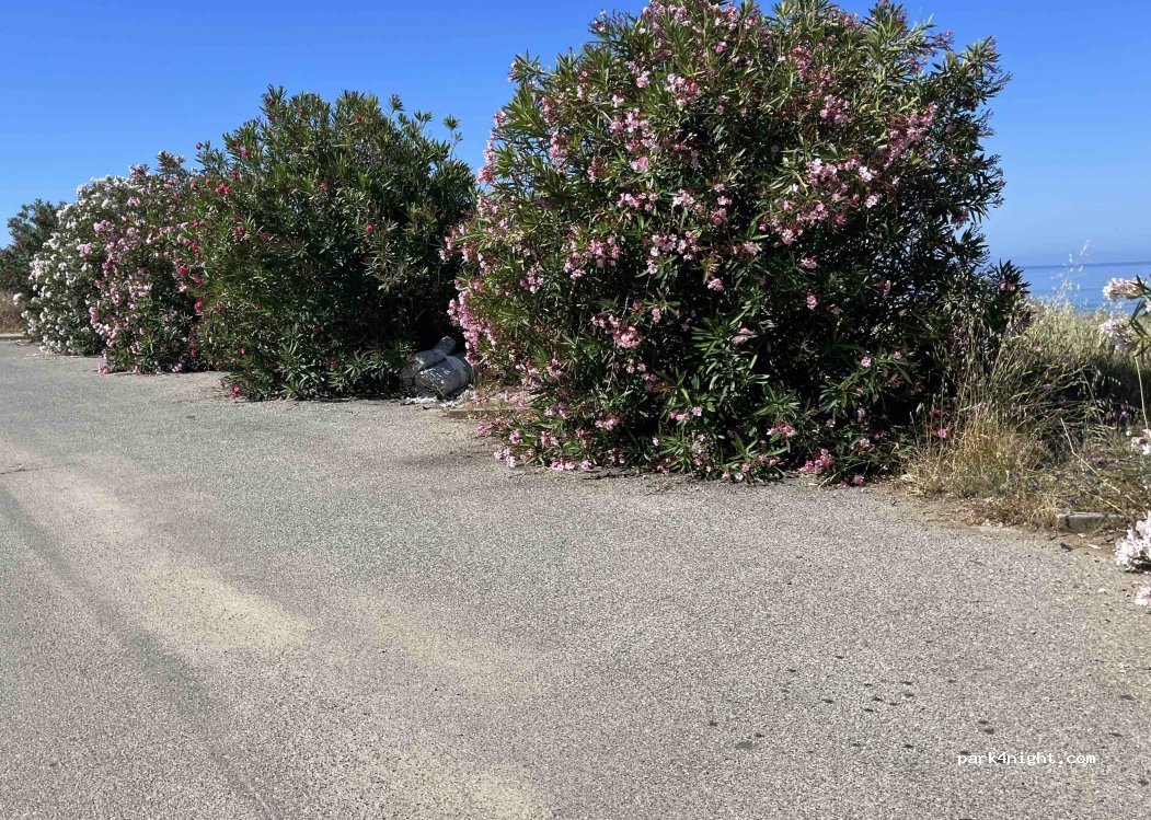 (87020) Sparvasile - Unnamed road — foto 2