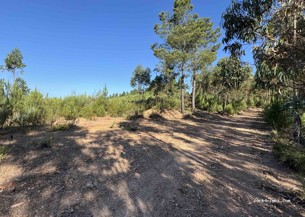 (6030) Vila Velha de Ródão - Unnamed Road — foto