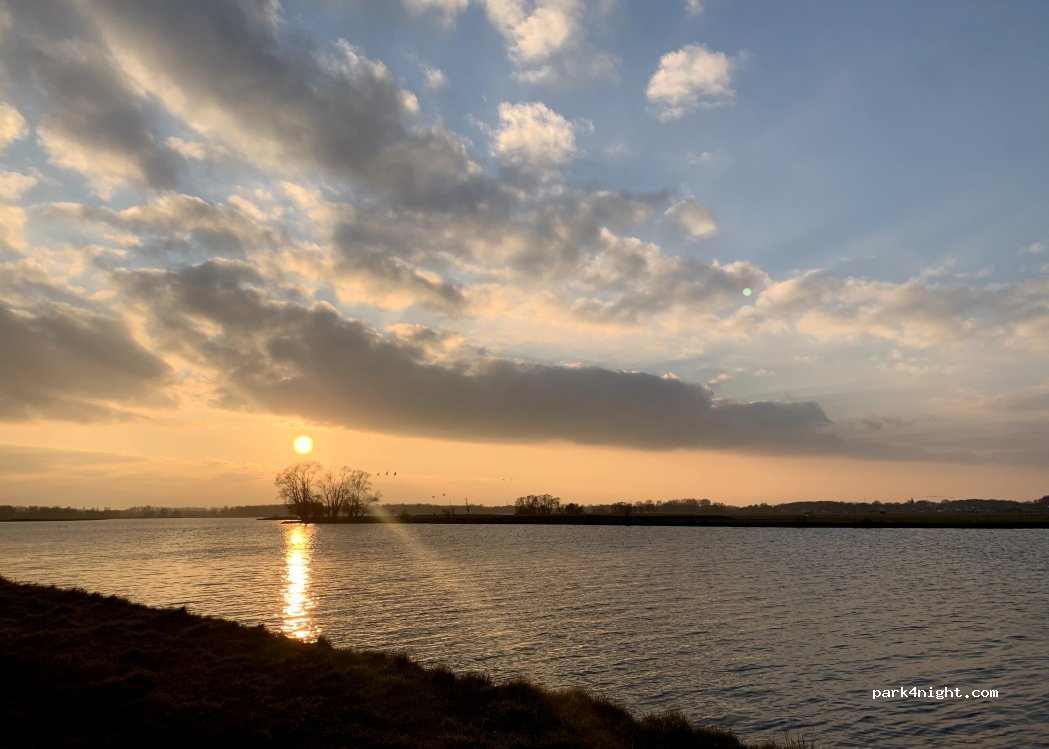 De Wilde Gans — foto