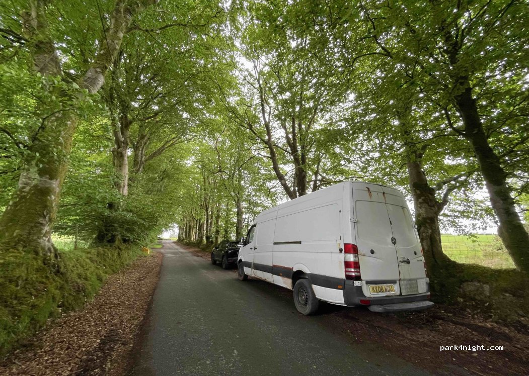 (SA48 8JA) Lampeter - Unnamed road — foto