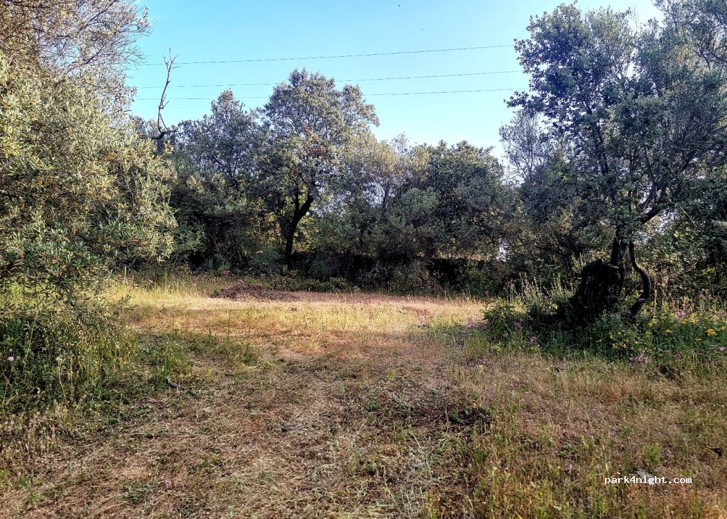 Stellplatz El Rebollar — foto 4
