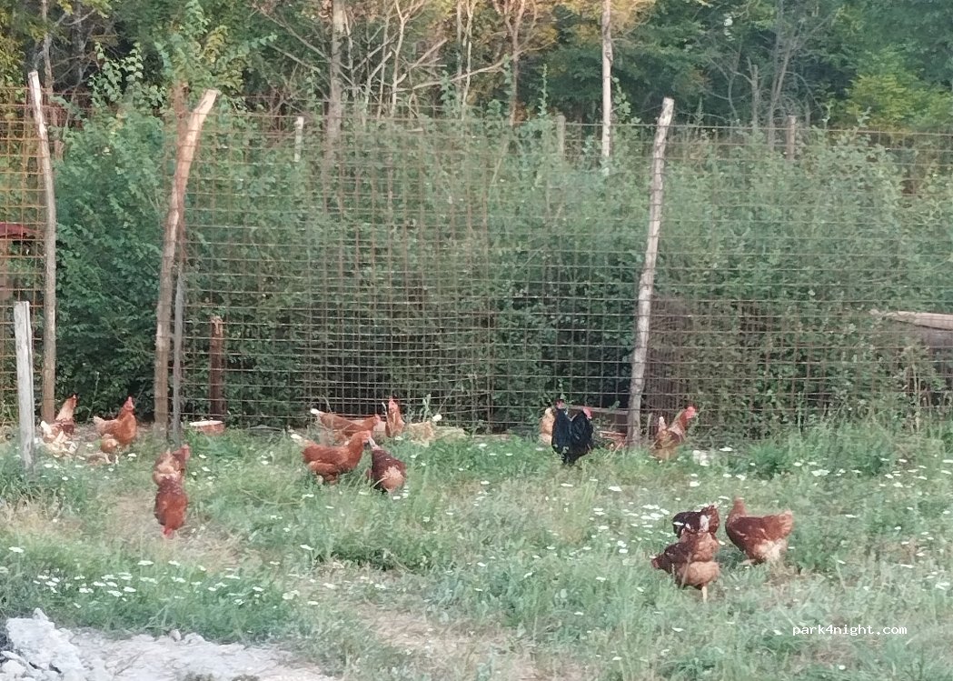 Eco Camp Krka – Knin — foto 2