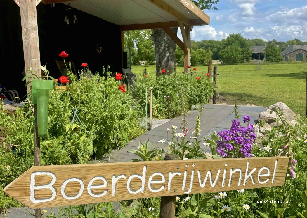 De Zeven Koeien — foto 2