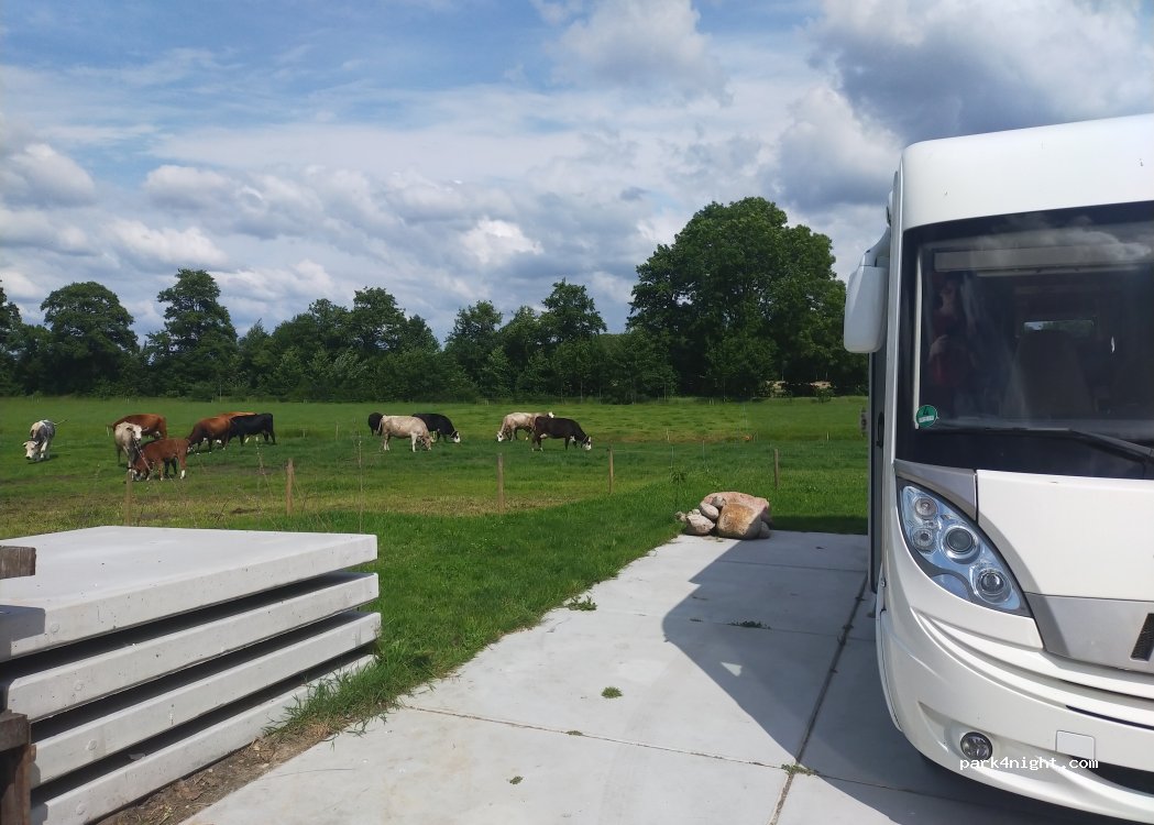De Zeven Koeien — foto 4