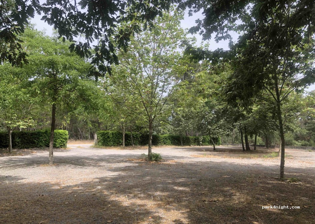(5000-751) Lamares - 706 M566 — foto 2
