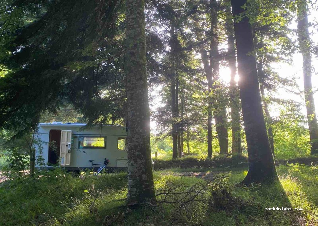 () Belforêt-en-Perche - — foto 2
