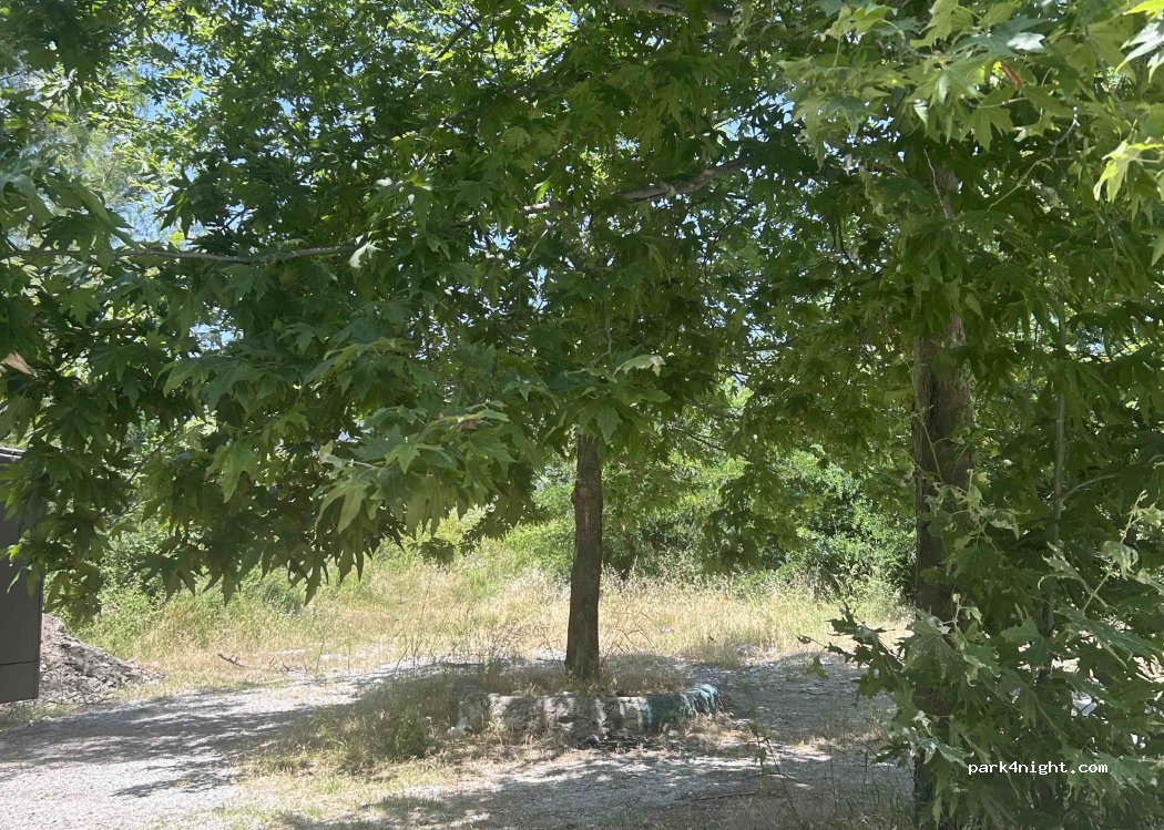 (07450) Alanya - — foto 2