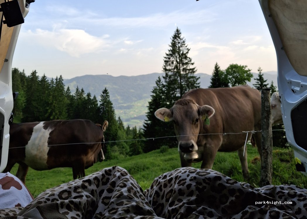 (6072) Sachseln - 1 Mülimäs — foto