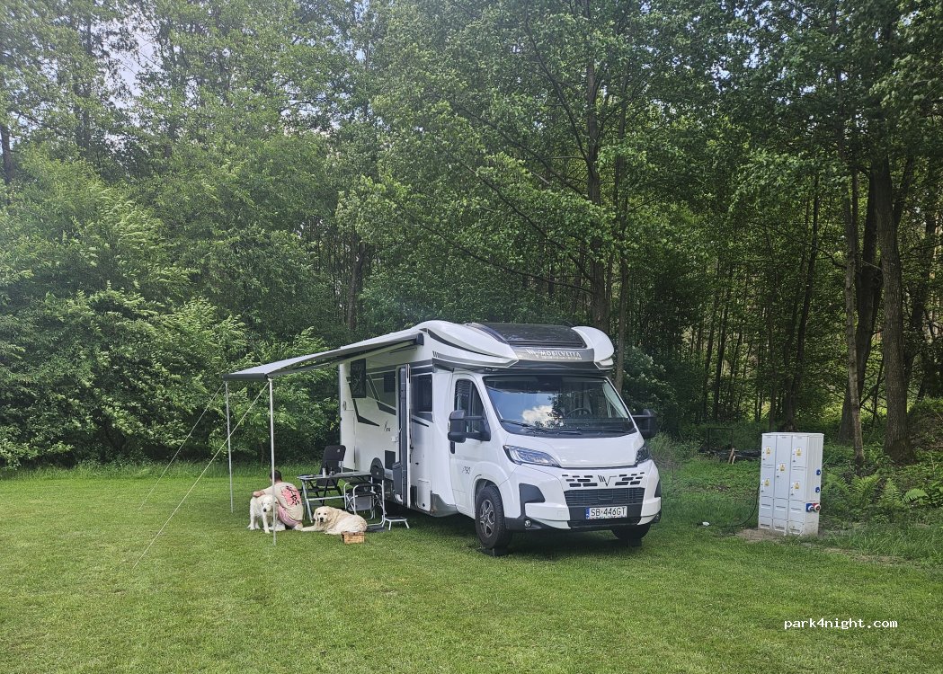 (98-335) Kałuże - — foto