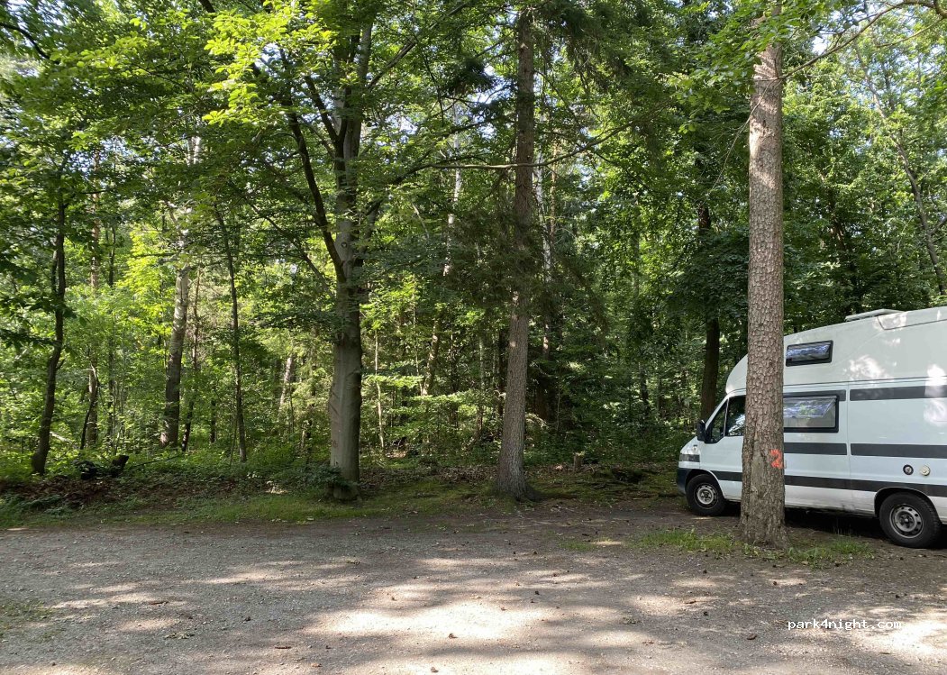 (29) Südheide - K17 — foto 3