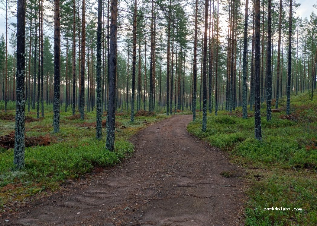 (792 96) Våmhus - Unnamed Road — foto 3
