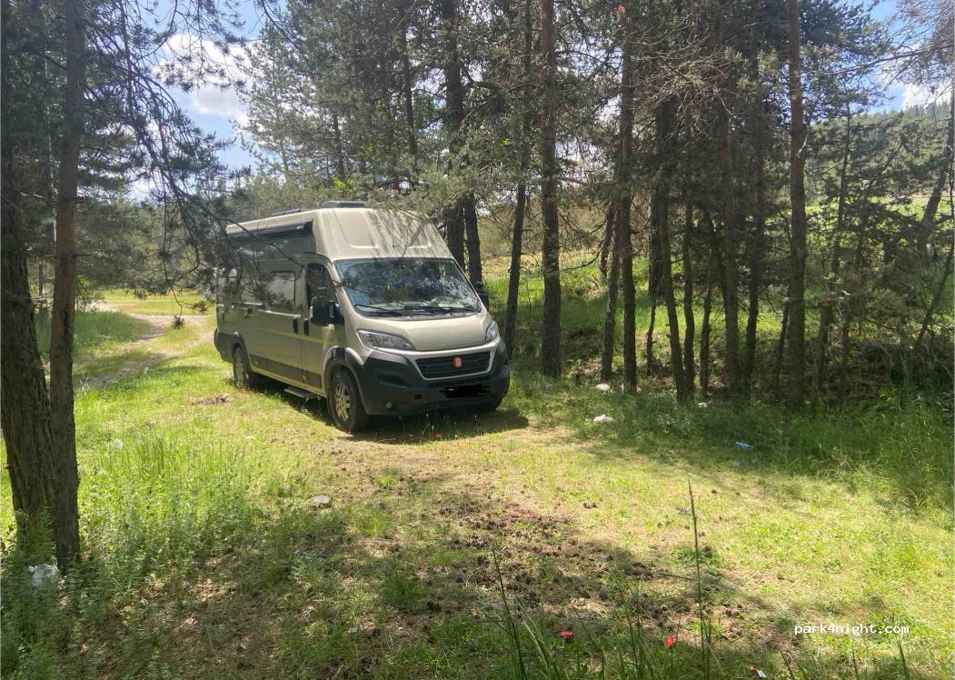 (06890) Berçinyayalar - — foto 4
