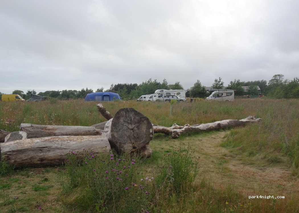 Cuckoo Camp — foto