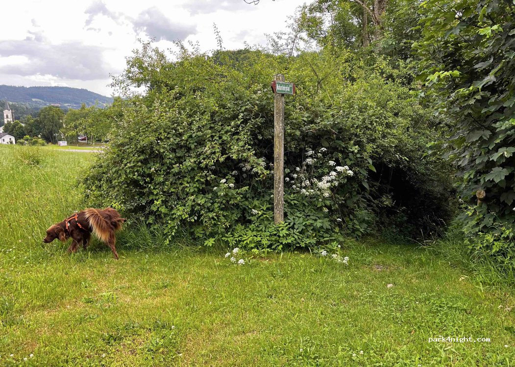 (94353) Haibach - Maibrunner Str. — foto