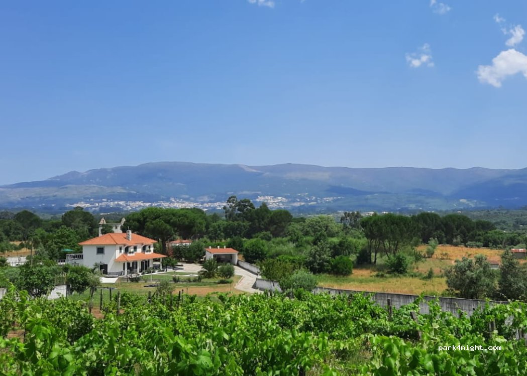 (6290) Vila Nova de Tazem - — foto 4