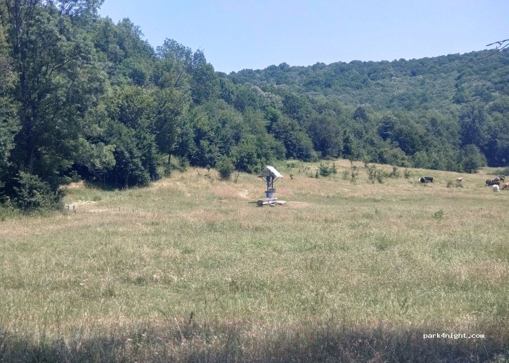 (217515) Turburea - Unnamed Road — foto