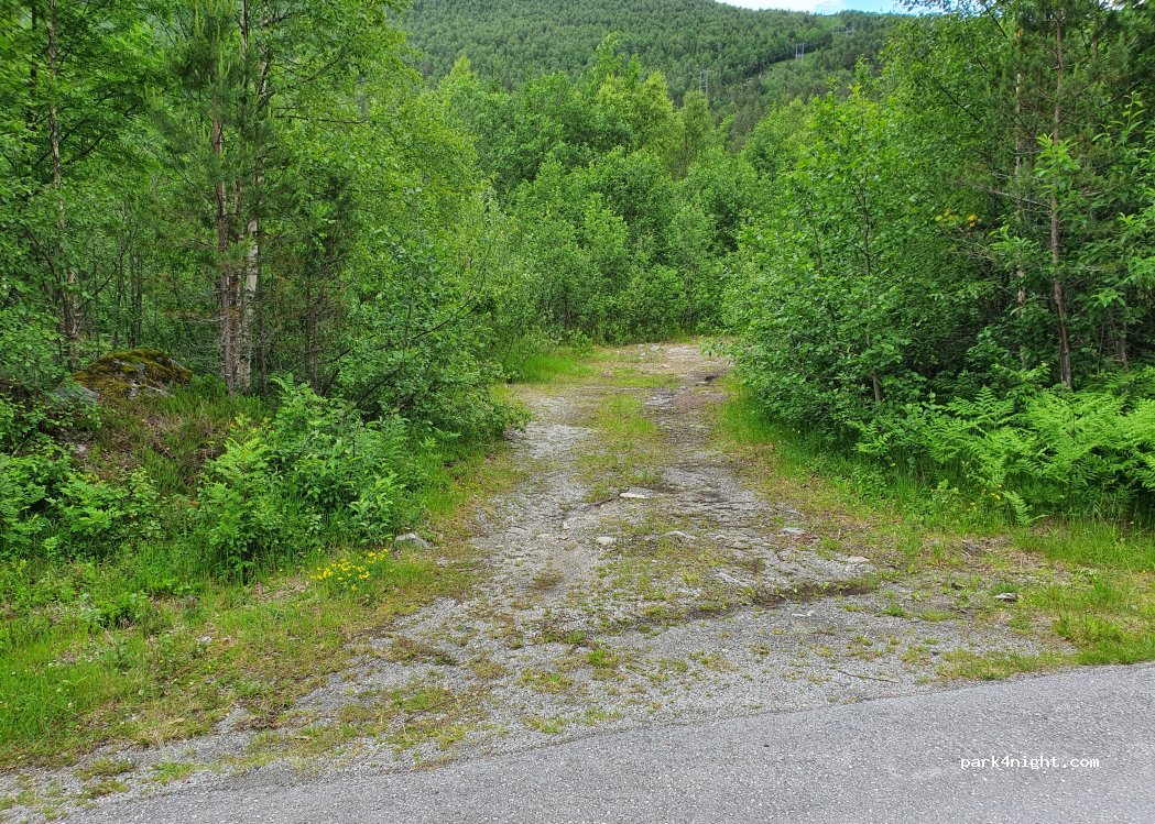 (6620) Børsetlauvet - — foto