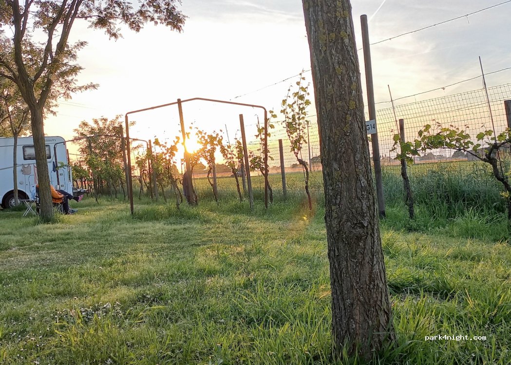 Camping - Bio Farm — foto 4