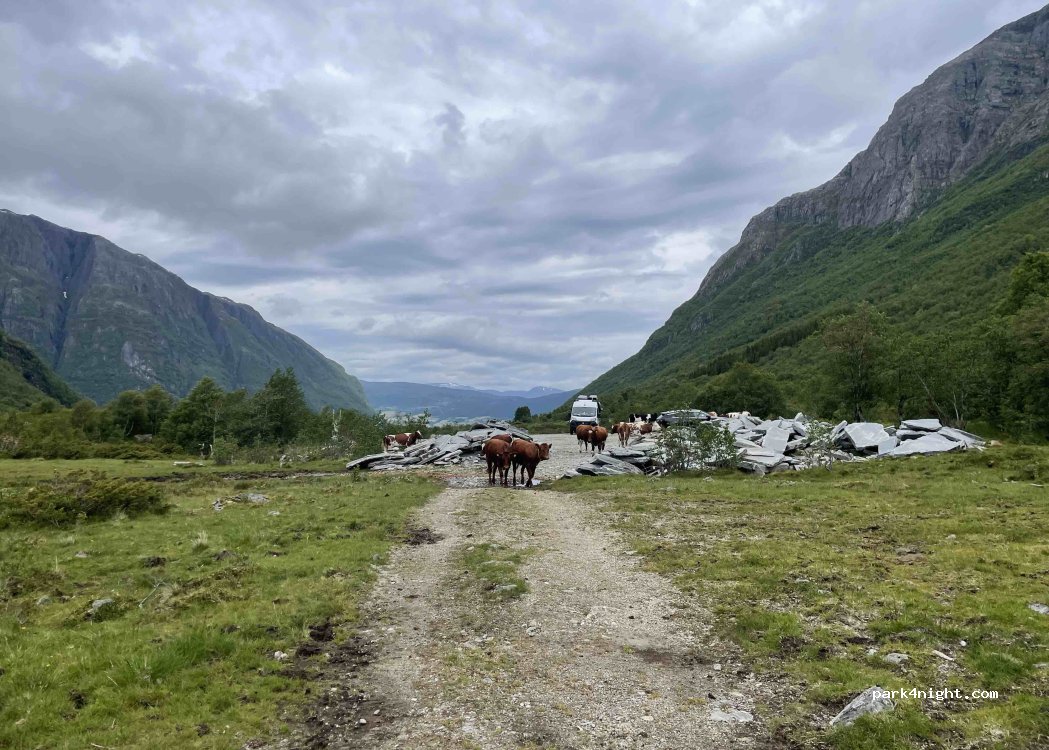 (6826) Årdal - — foto 3