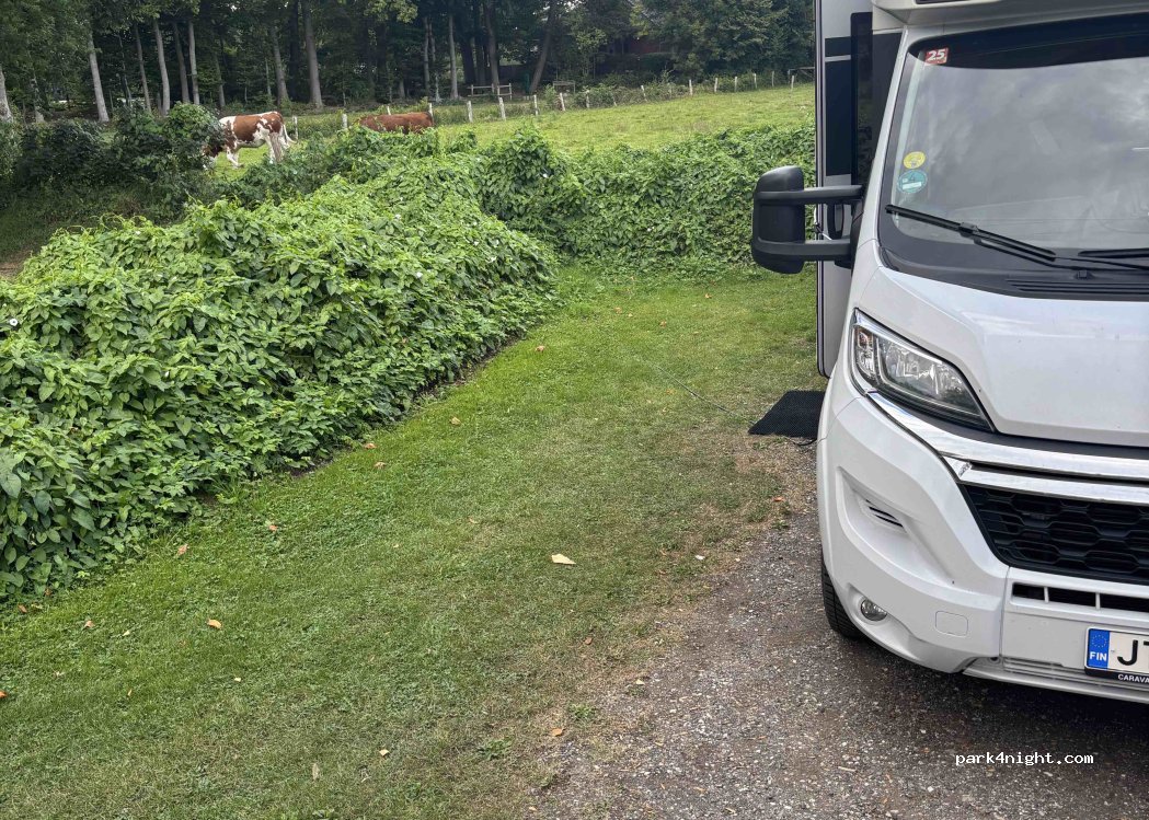 Wohnmobilstellplatz vom Camping Vogelzunge — foto 4