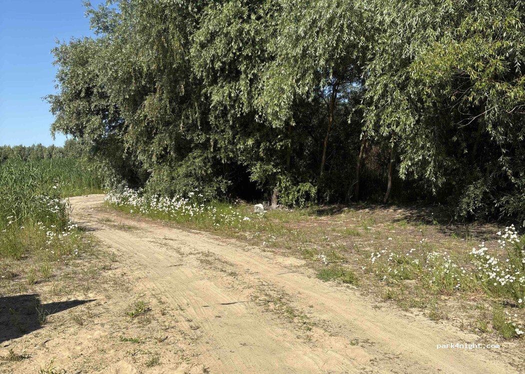 (62-730) Miłkowice - — foto