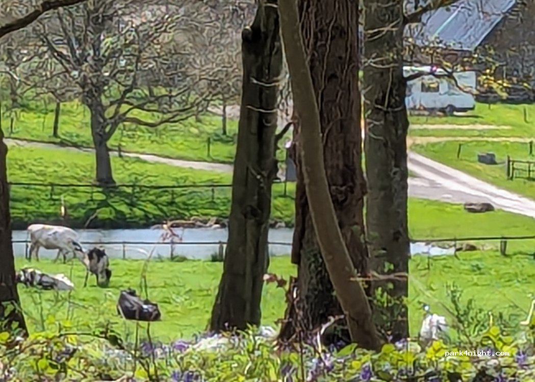 Ferme Les Bois — foto