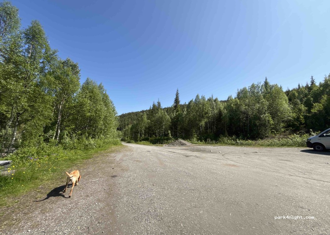 (8685) Svenningdal - — foto