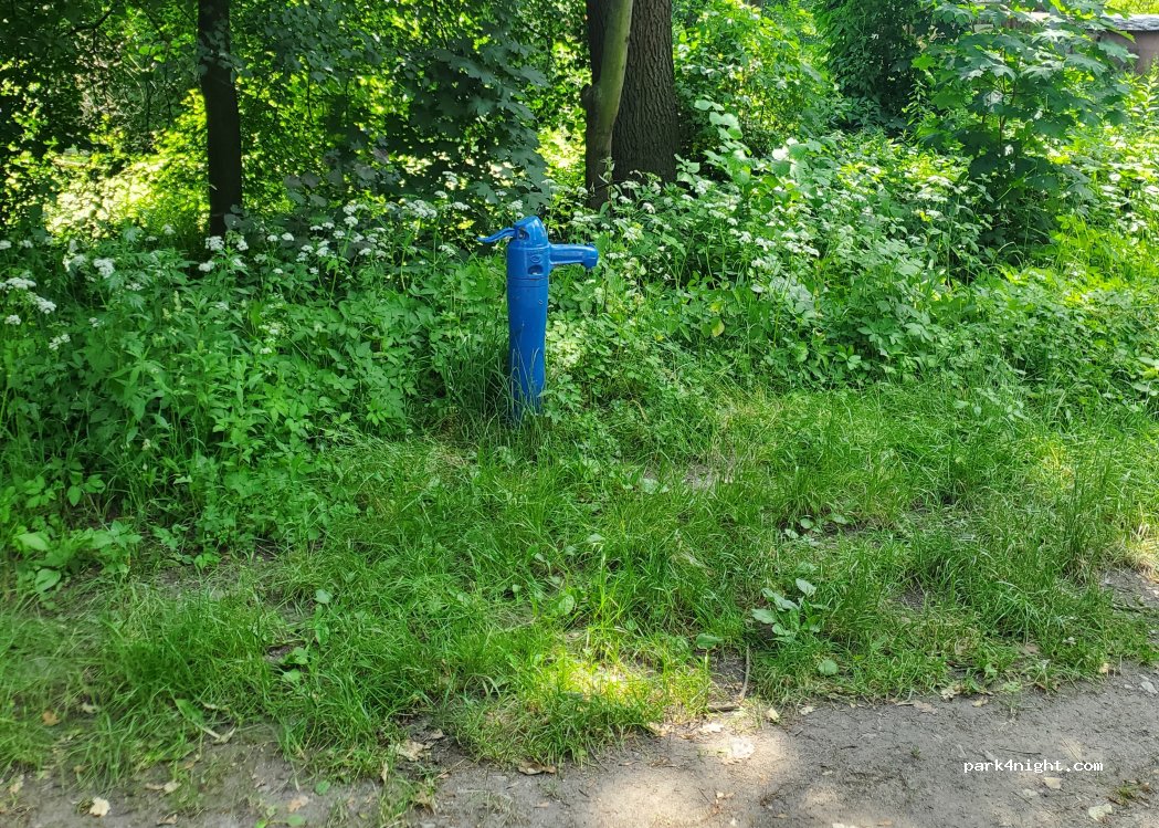 (55-002) Łany - 4 Królewska — foto