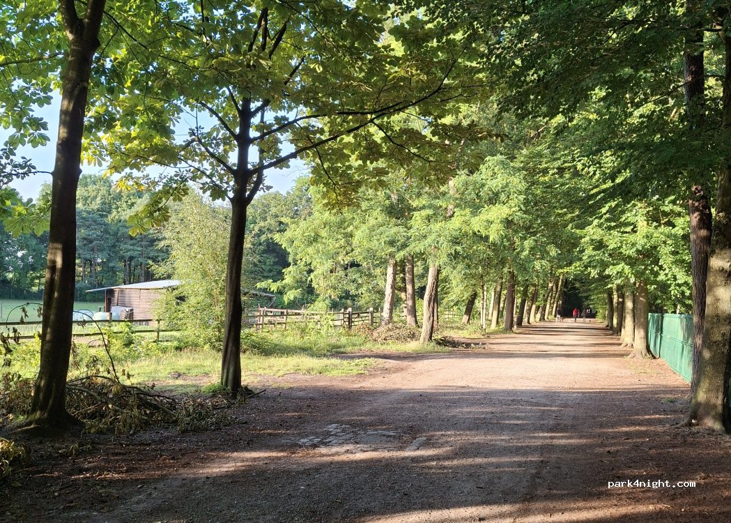 (2930) Brasschaat - Elisalei — foto 2