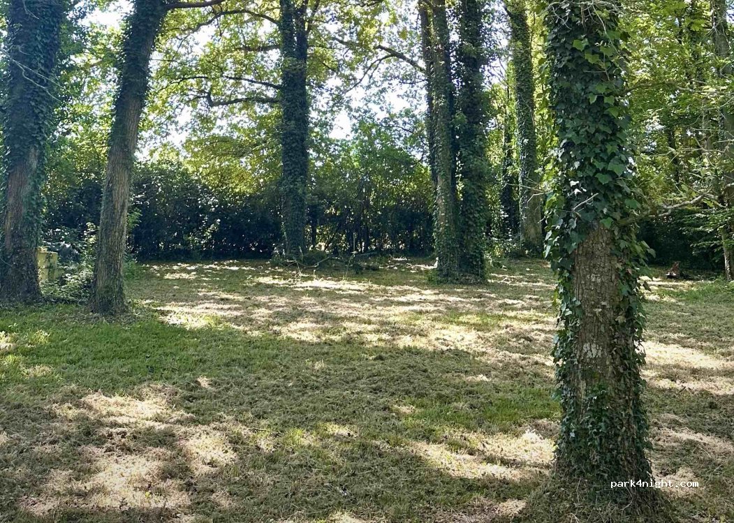 (37230) Fondettes - 1701 La Butte — foto 3