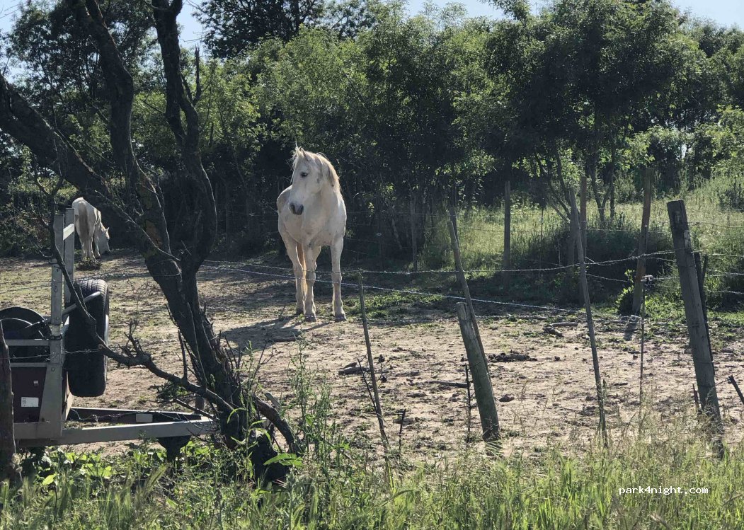 (30740) Le Cailar - 50 Chemin d'Asport — foto