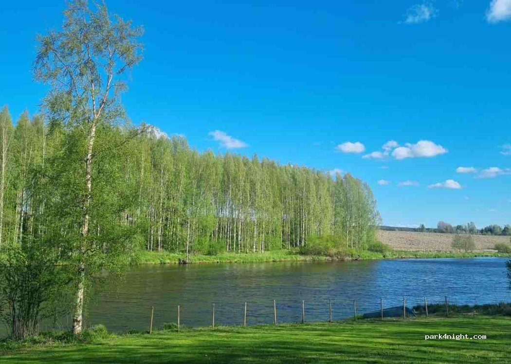 (61310) Koivisto - — foto