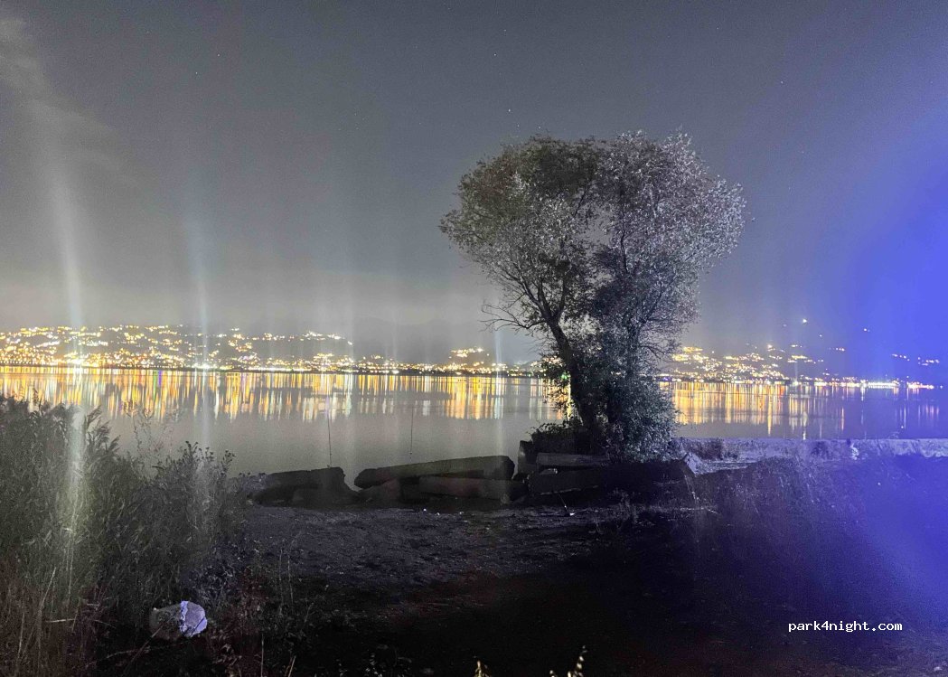 (54050) Aşağıdereköy - — foto 4