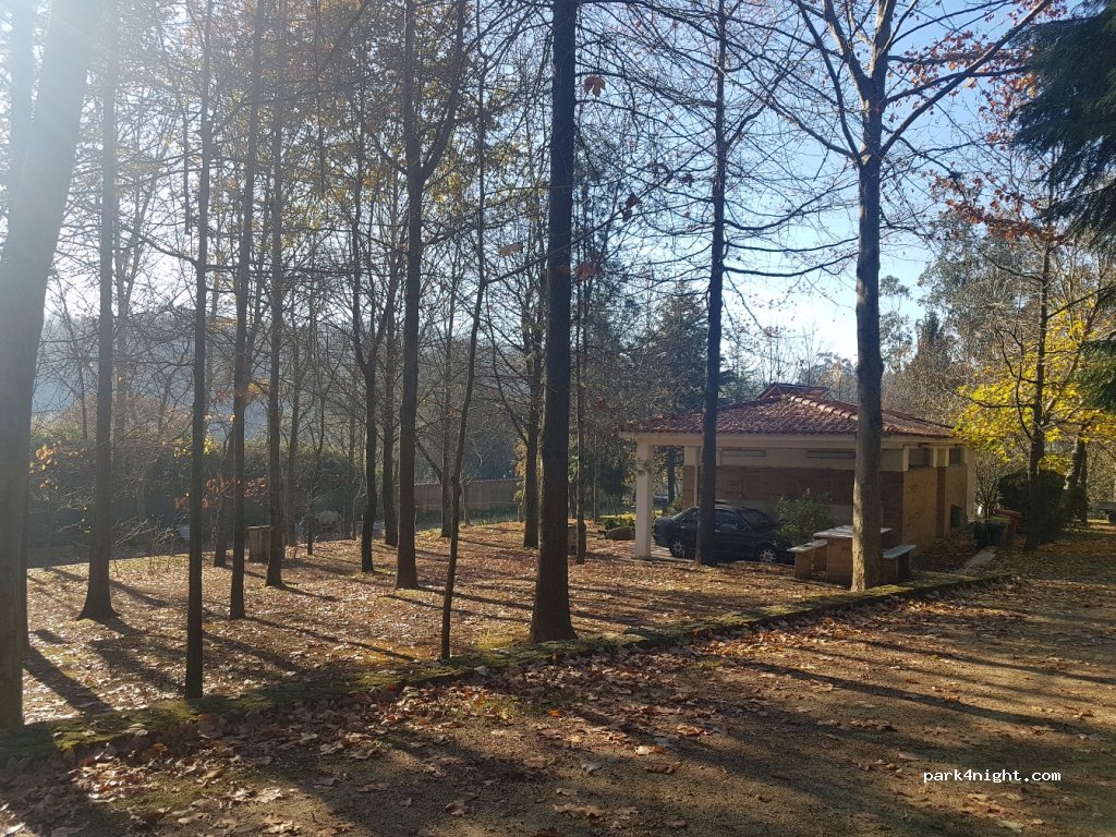Camping Ave — foto 2