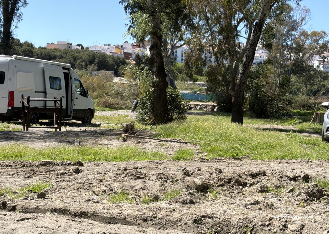 (11311) Guadiaro - — foto 5
