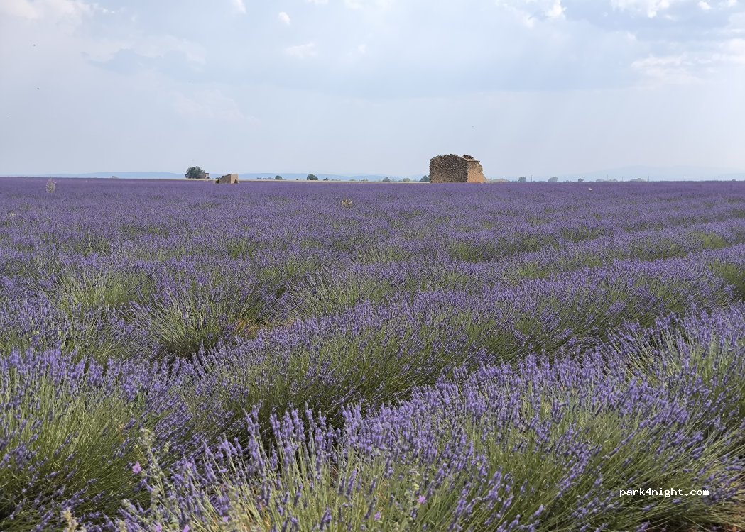 (04210) Valensole - 1946 Route de Digne — foto