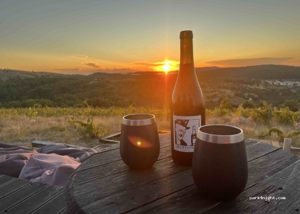 Delusional Wine — foto 4