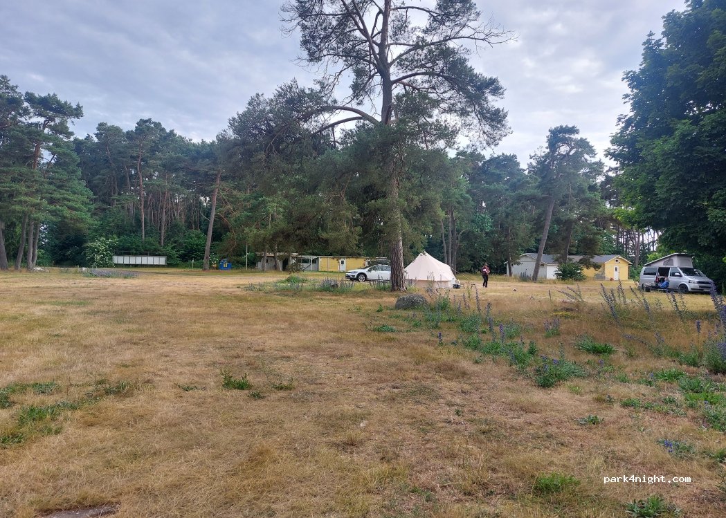 Sandviks Camping — foto 5