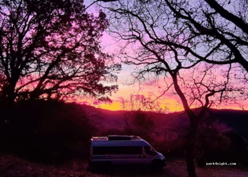 Abriecosy — foto
