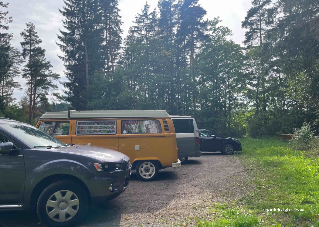 (79865) Grafenhausen - — foto