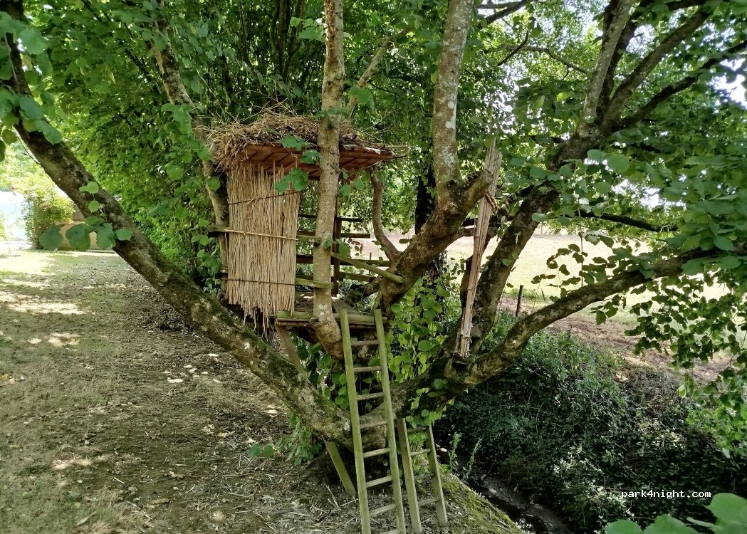 Le Champ des oiseaux — foto 5