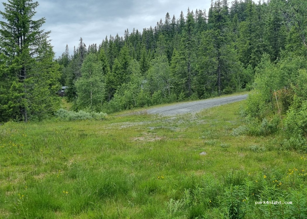 (2890) Etnedal - 1 Tiurknatten — foto 2