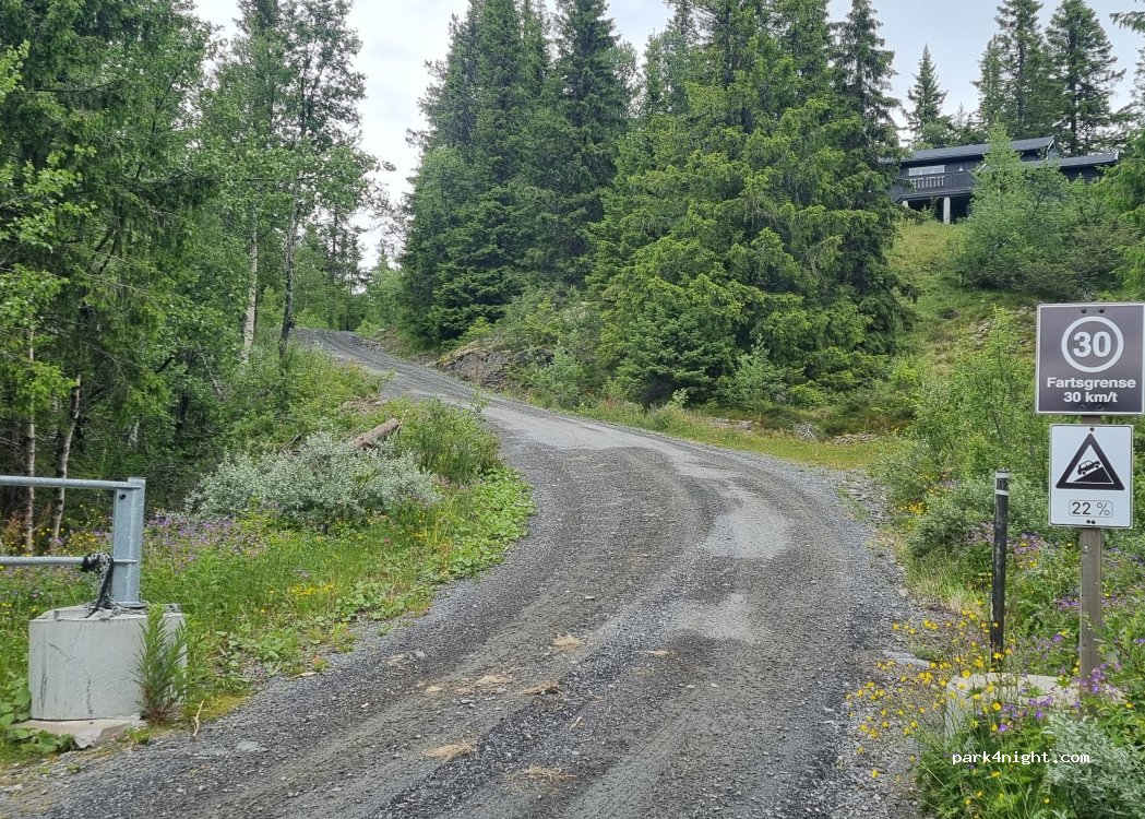 (2890) Etnedal - 1 Tiurknatten — foto 4