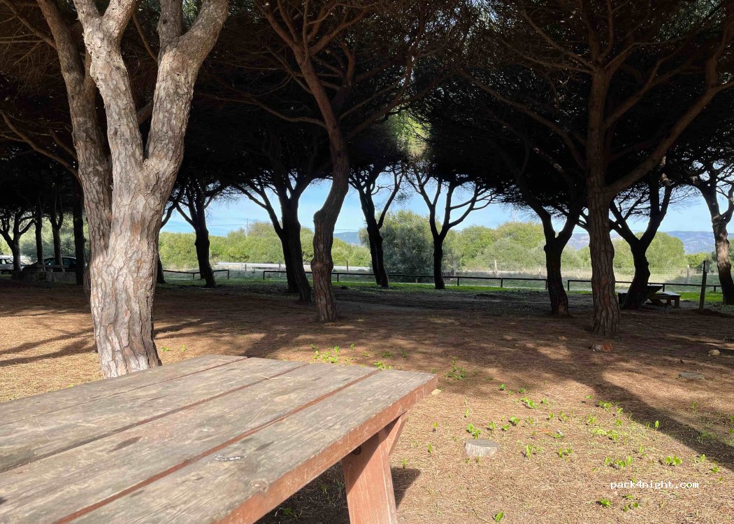 (11380) Tarifa - E-5 — foto