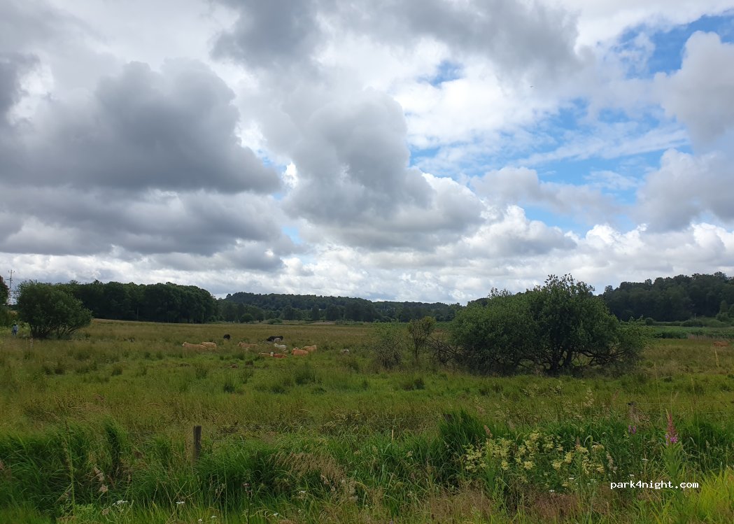 (422 50) Hisings Backa - 10 Skogomevägen — foto