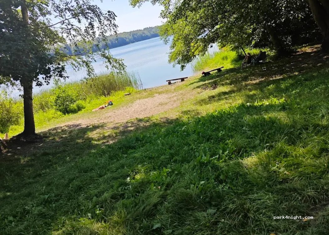 Leśne Miejsce Biwakowania Okno — foto