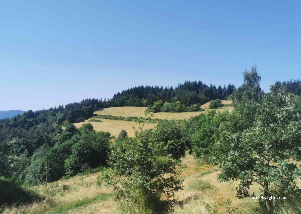 (07160) Belsentes - — foto