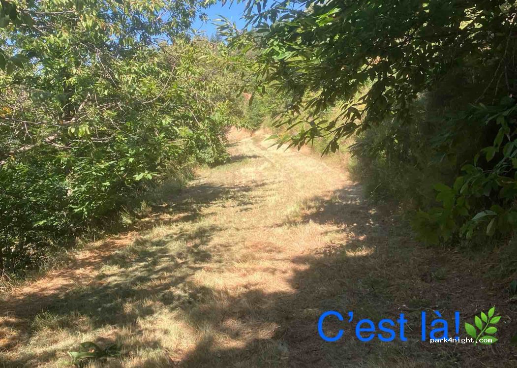 (07160) Belsentes - — foto 2