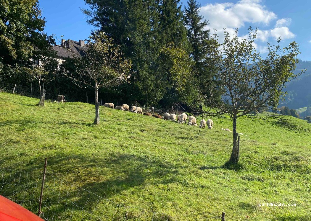 (4591) Ramsau - 1A Frauenstein — foto 5