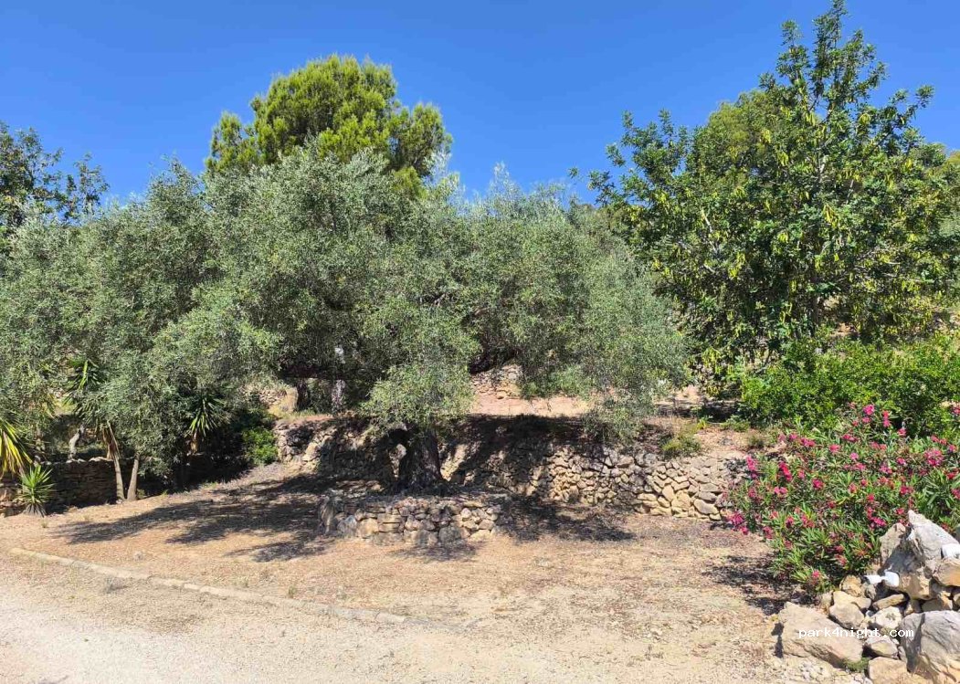 (43895) L'Ampolla - — foto 3